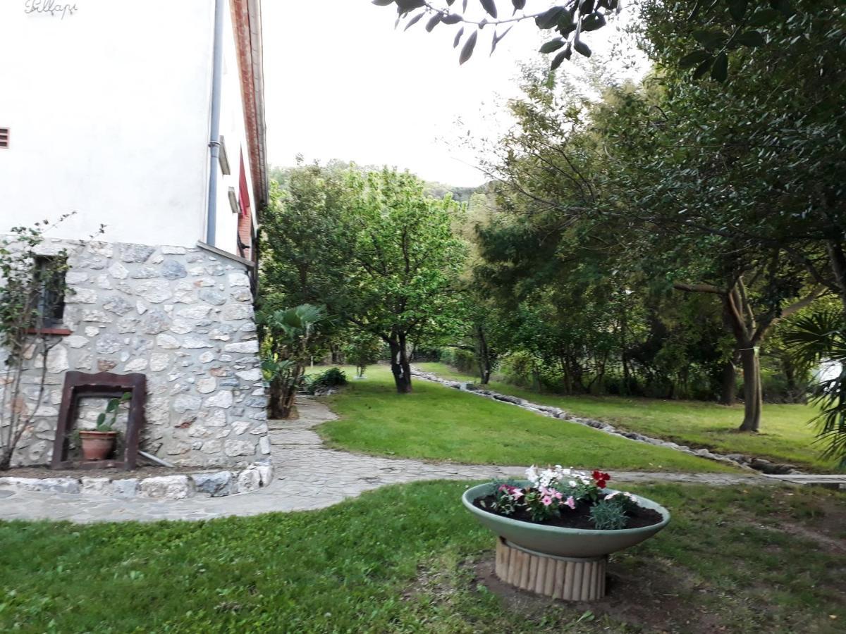 Havre De Paix Entre Mer Et Montagne A Ceret Pour 4 A 5 Pers Exterior foto